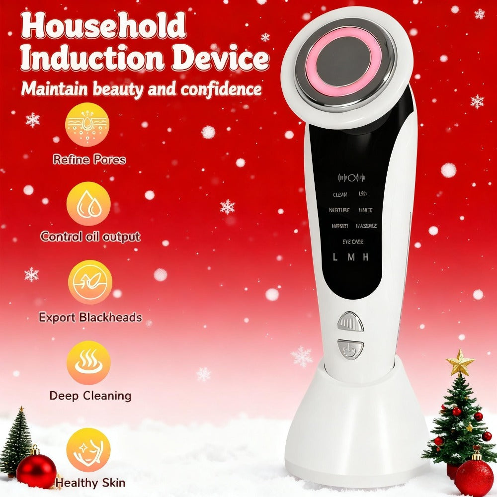 4-in-1 LED Face Neck Massager USB Powered Vibration Facial Lifting Device - Handle Portable Beauty Tool for Home or Salon Spa