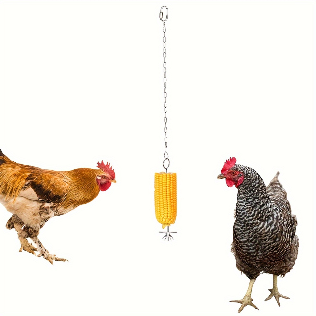 Chicken Feeder Skewer Stainless Steel Hanging Fruit Veggie Double Nut for Grilling, Camping and Outdoor Meals — image 6