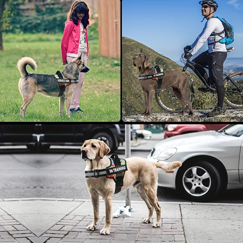 Emotional-Support Patch Dog Harness with Top Handle in Eleven Colors and XS-to-XXL Sizes Pictured — image 6