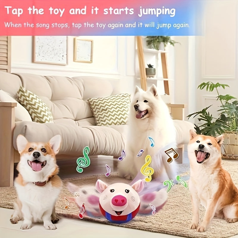 Dog Toy USB-Rechargeable Bouncing Character Ball with Recording and Music Modes in Five Styles — image 6