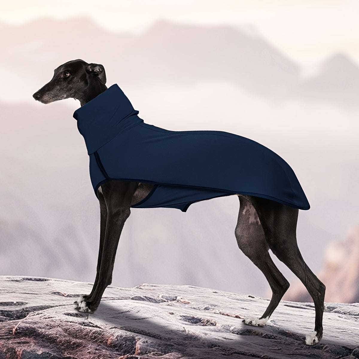 High-Neck Pullover Dog Coat in Burgundy, Navy or Fern Green with Selected XL Through 4XL Sizes — image 22