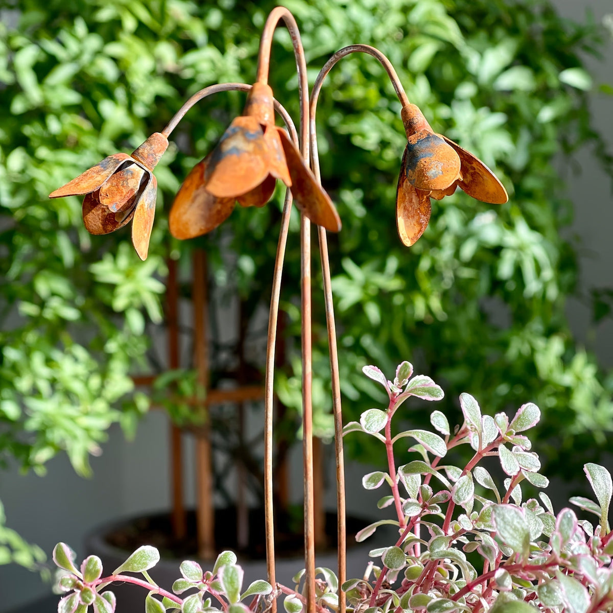 Rustic Metal Snowdrop Garden Stakes, Three-Piece Curved Flower Set with 25 cm Stems for Pots and Borders — image 2