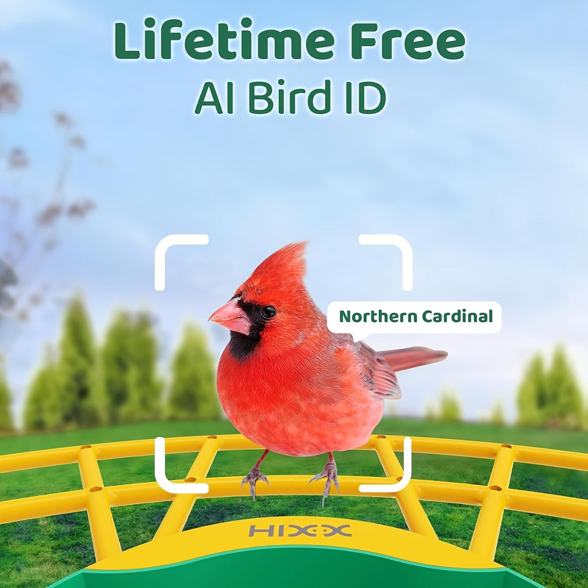 Smart Bird Feeder with Camera AI Bird Identification, 2K HD Live View, Auto Capture & Color Night Vision — image 1