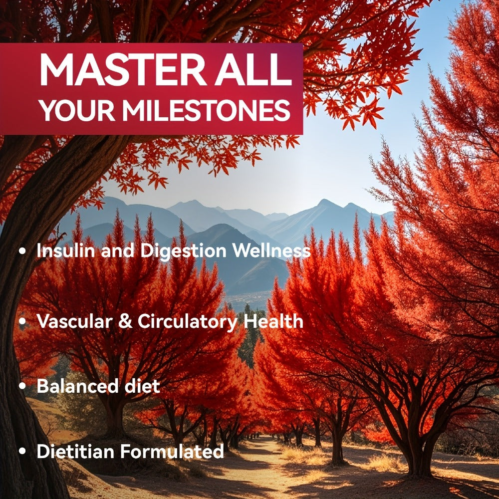 Berberine with Ceylon Cinnamon, Turmeric & Black Pepper, Premium Blood Sugar Support, Vascular Health & Digestive Wellness Ca