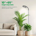 Telescopic Ring LED Plant Lamp with Flexible Gooseneck, 10-65in Pole and Black or White Options — image 3