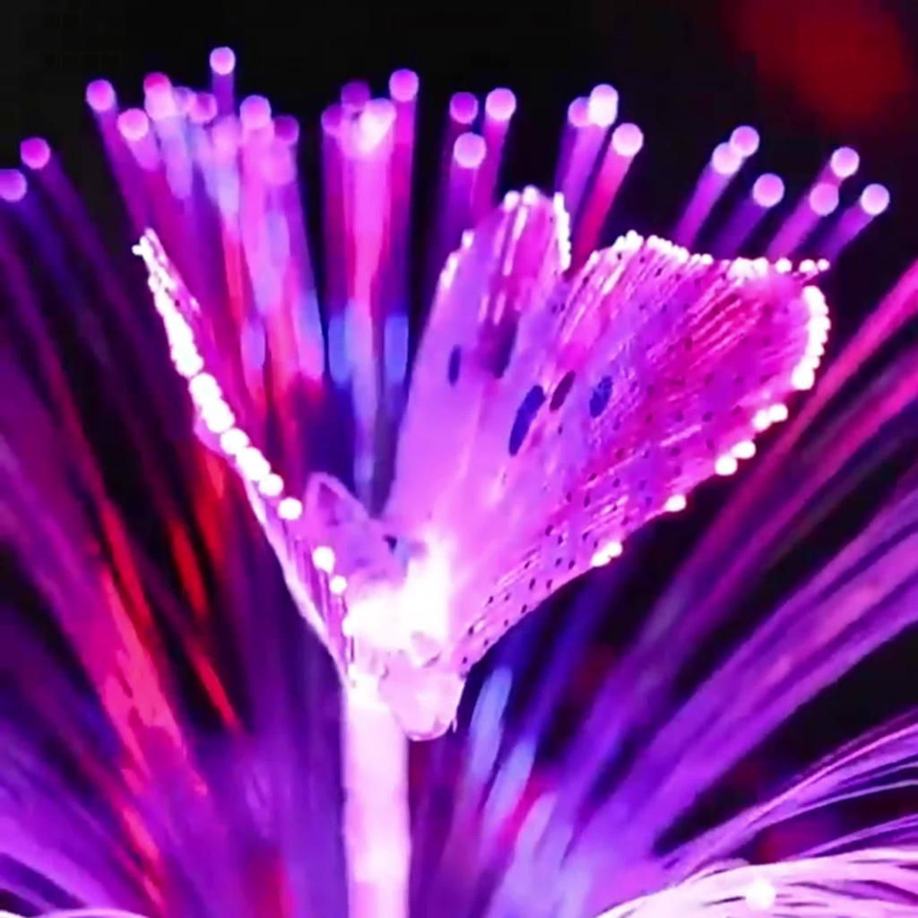 Solar Garden Lights Butterfly Jellyfish Stakes with Gradient Color Change in 2- or 4-Pack Sets — image 10