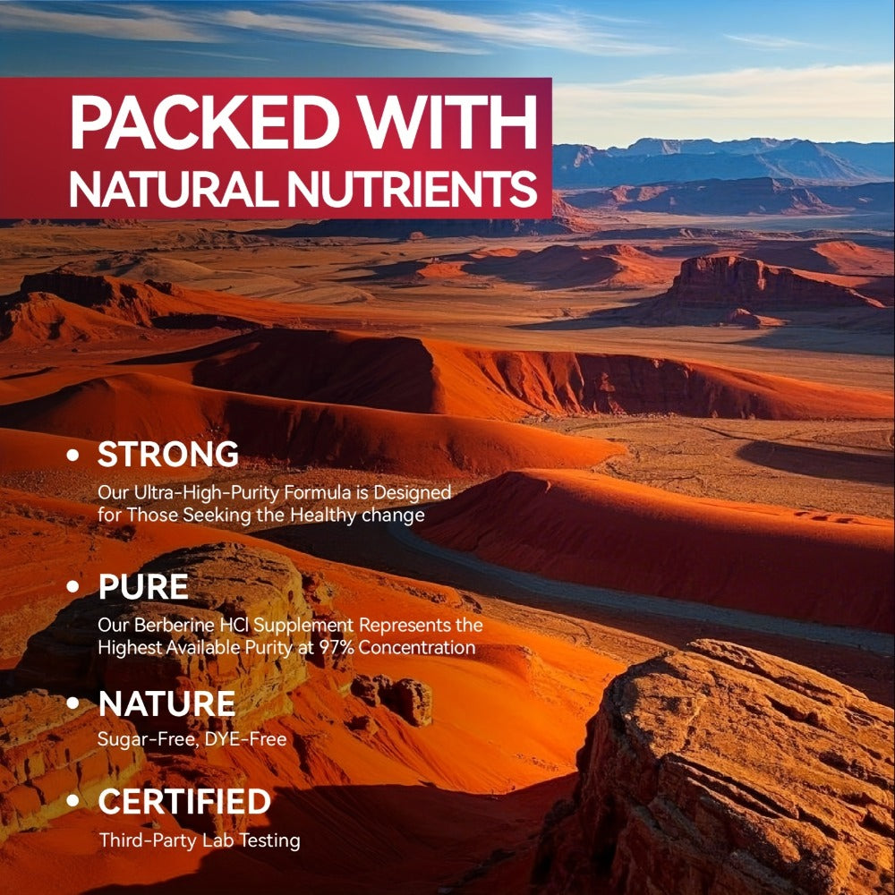 Berberine with Ceylon Cinnamon, Turmeric & Black Pepper, Premium Blood Sugar Support, Vascular Health & Digestive Wellness Ca