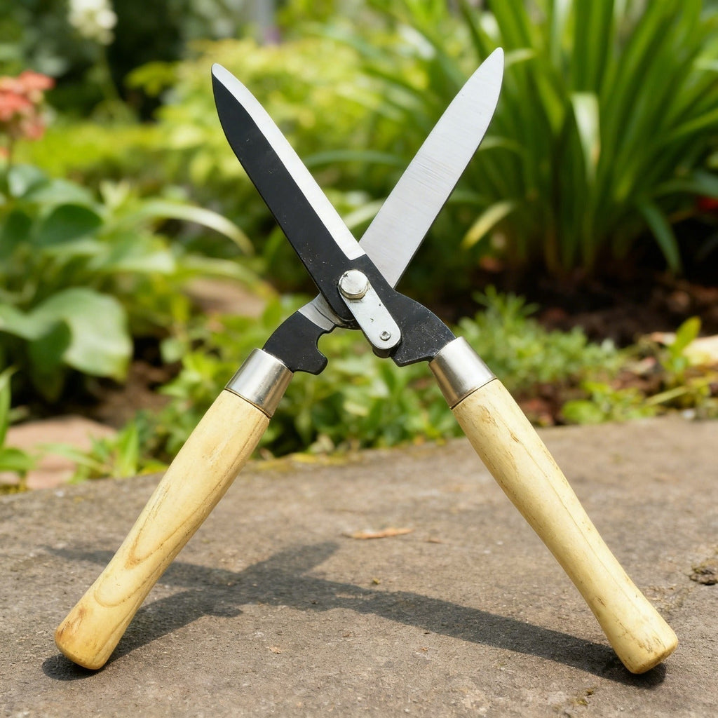 Carbon Steel Hedge Shears with 11-Inch Straight Blades and Paired Walnut Handles for Shrub Trimming — image 1