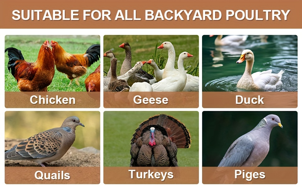 Hose-Connected Automatic Poultry Waterer with Float Valve, Four Cups and Red or Teal Color Options — image 12