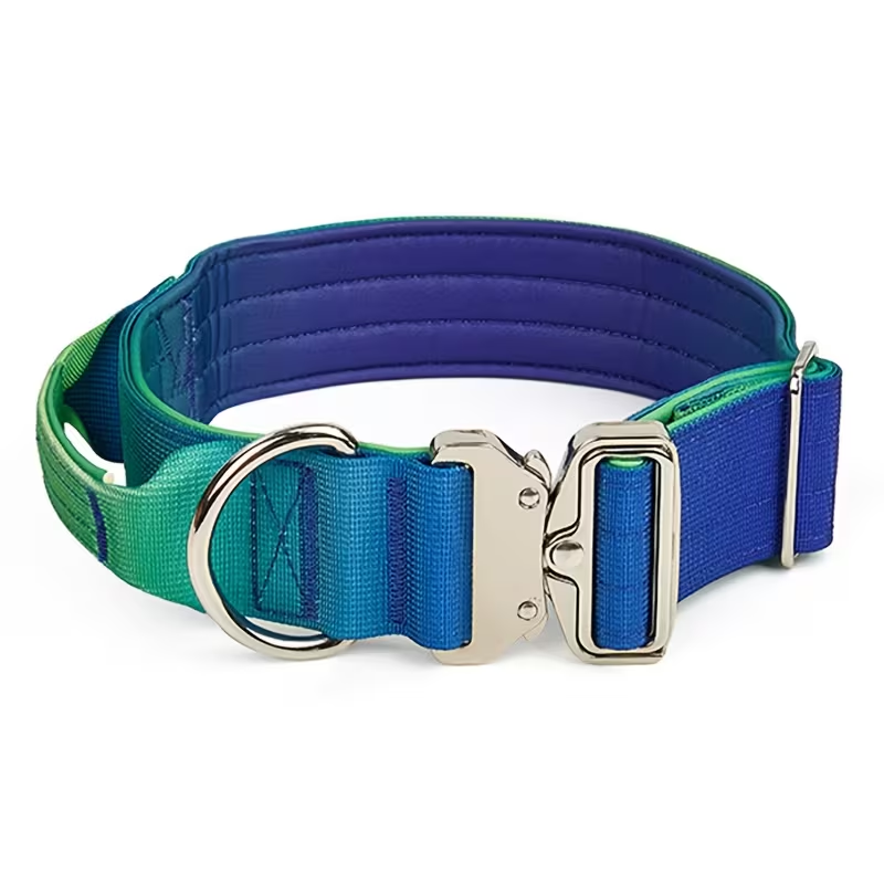 Gradient Dog Collar with Grab Handle, Quick-Release Metal Buckle and D-Ring in Three Size-Color Options — image 3