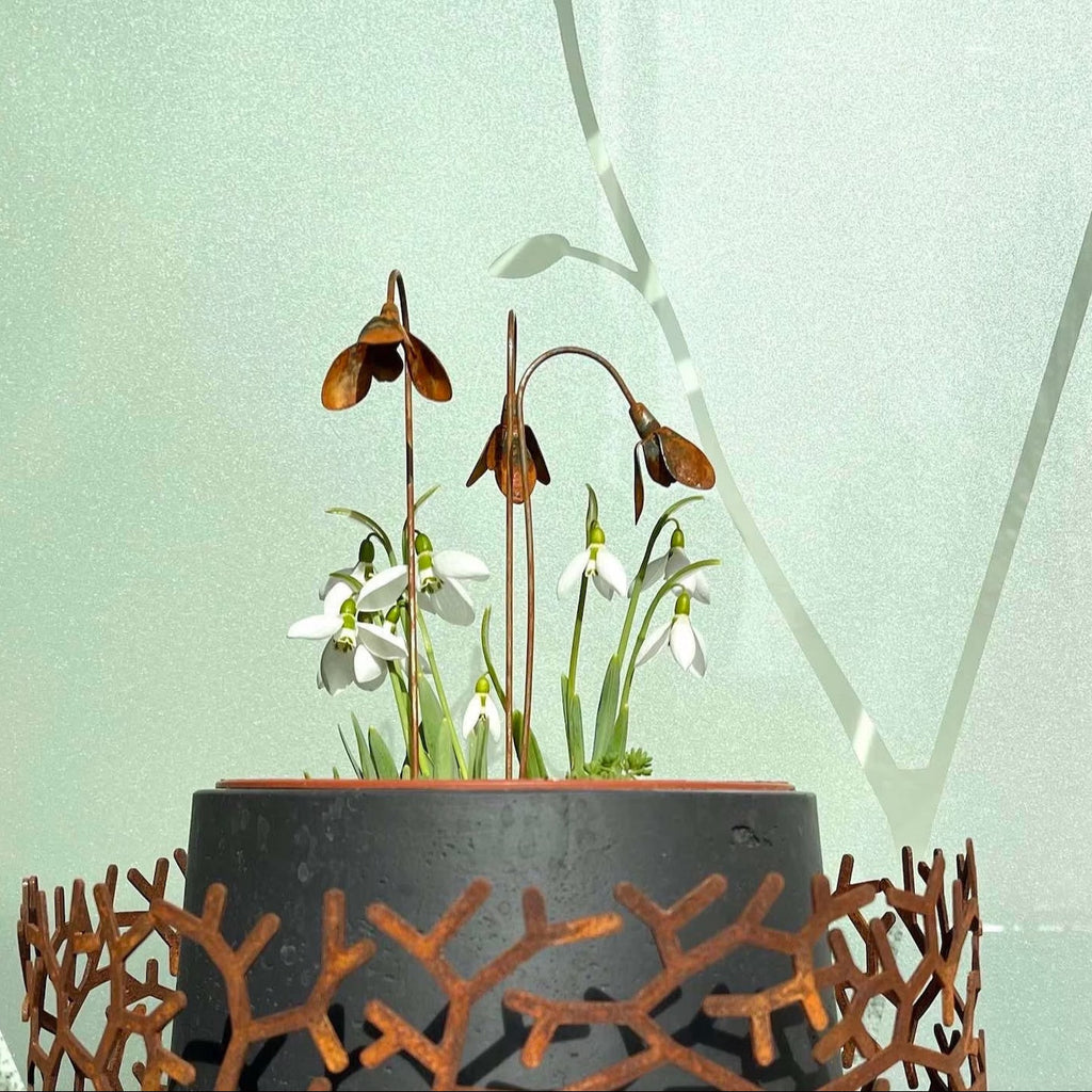 Rustic Metal Snowdrop Garden Stakes, Three-Piece Curved Flower Set with 25 cm Stems for Pots and Borders — image 5
