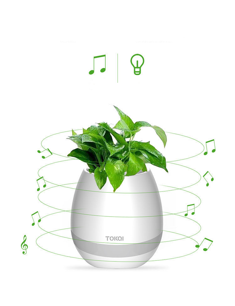 Touch-sensitive music vase desktop audio
