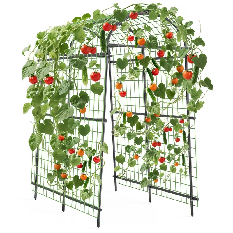 Garden Arch Trellis 7.5ft Tall Metal Climbing Plant Support with Netting for Vegetables Flowers Roses for Garden, Patio and Y