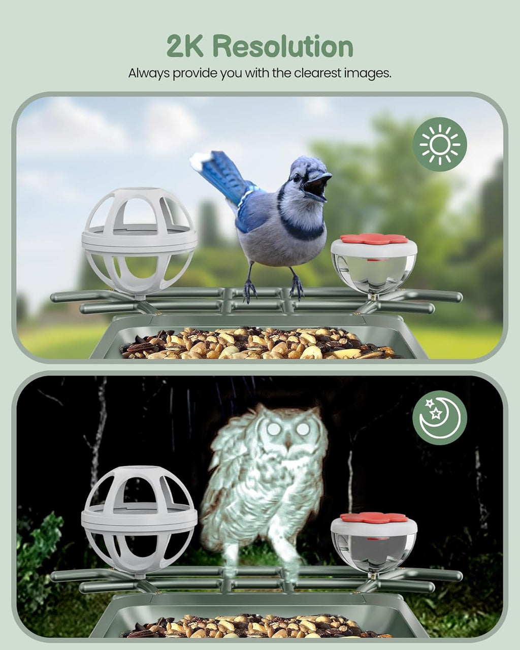 Solar Bird Feeder with 2K HD Camera and AI Recognition