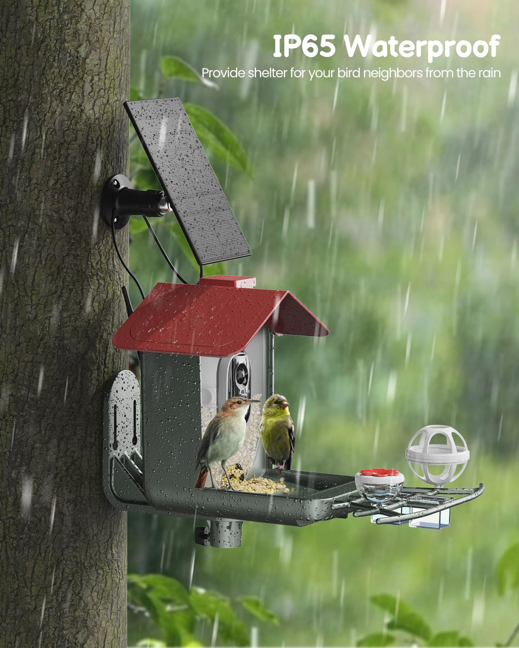 Smart Solar Bird Feeder with 2K HD Camera and AI Recognition