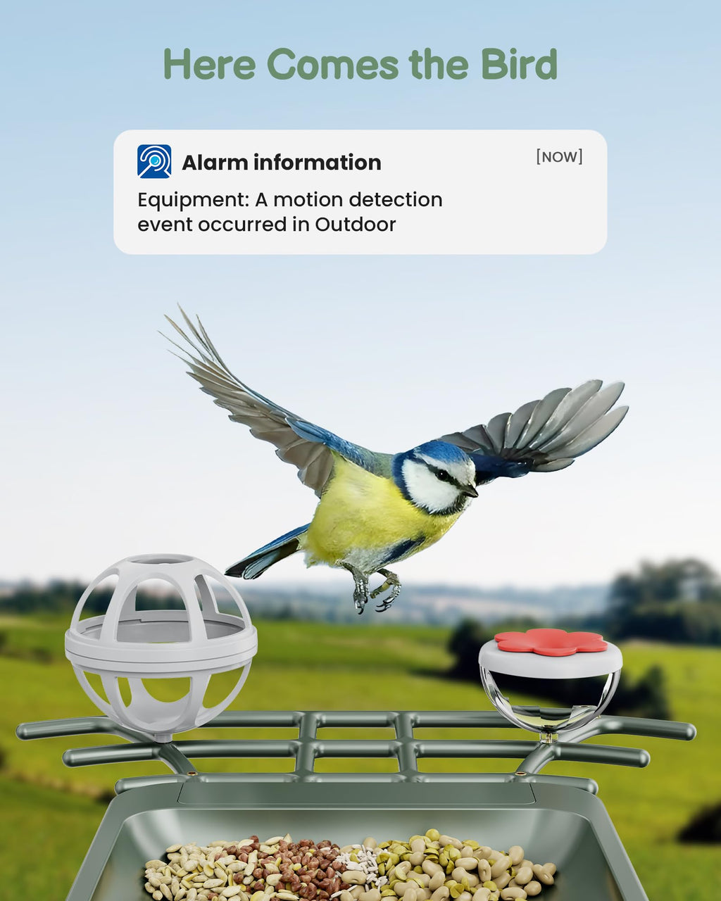 Smart Solar Bird Feeder with 2K HD Camera and AI Recognition