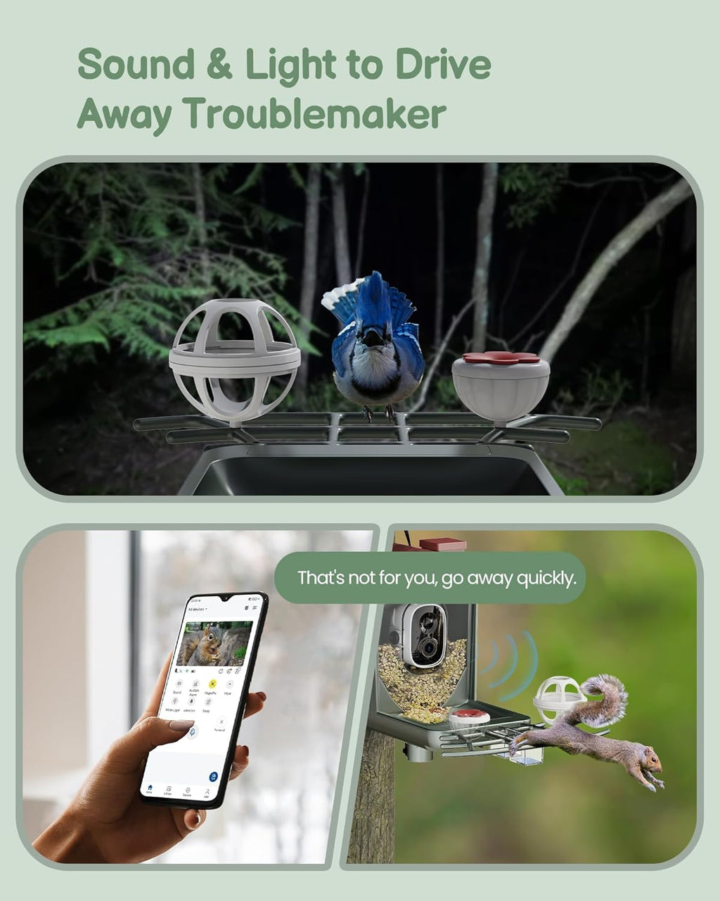 Solar Bird Feeder with 2K HD Camera and AI Recognition