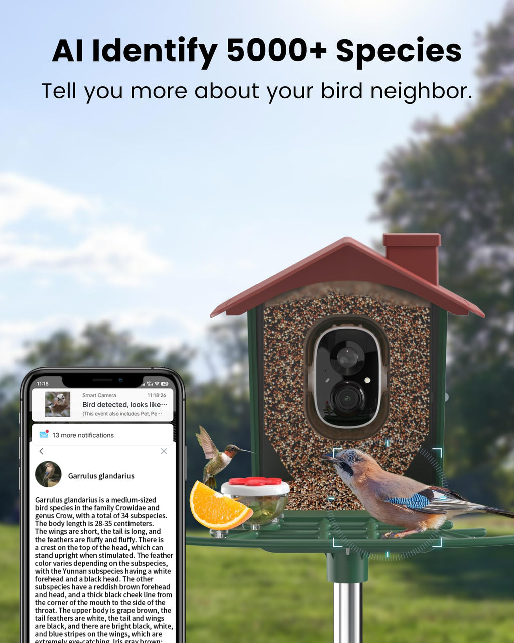 Smart Solar Bird Feeder with 2K HD Camera and AI Recognition